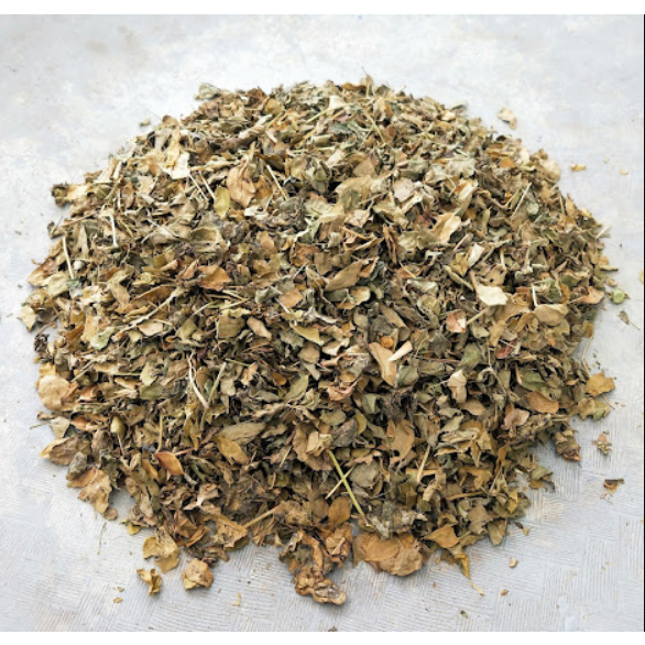 

Daun kelor kering / daun moringa kering