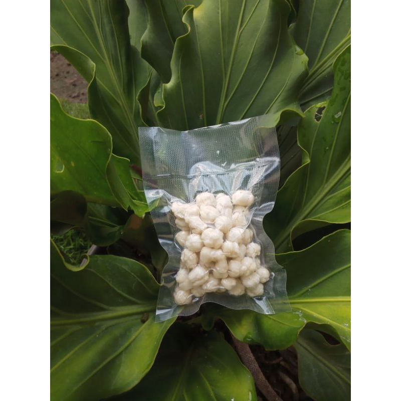 

Toping pilus cikur/kencur Toping Pangsit Toping Bakso Aci Toping Bakso