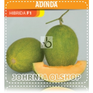 Johrnia 1 Benih Biji Melon ADINDA F1