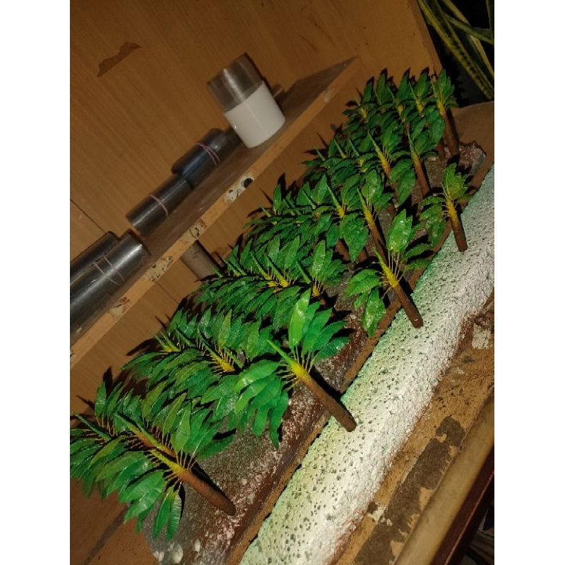 Miniatur Pohon Pisang Kipas 3 - 12 cm