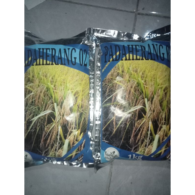 Benih padi Padaherang kemasan 1 kg