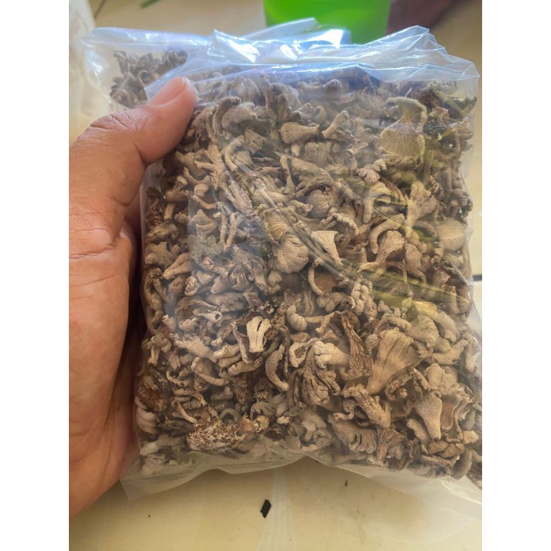 

Jamur gerigit kering BERAT 45 GRAM