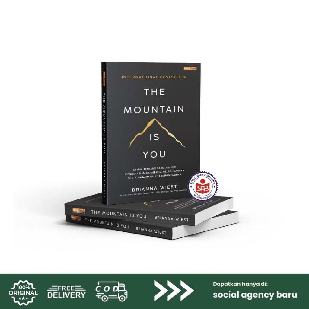 The Mountain Is You - Brianna Wiest