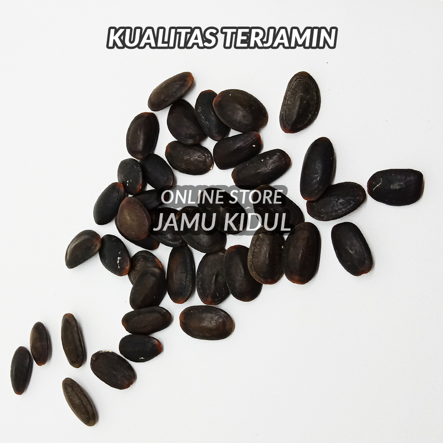 

Biji Kedawung 100 gr - Dawung - Kedaung Murah