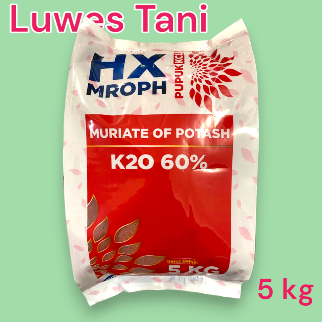 HX-K20 60% PUPUK KCL 5KG DGW muriate of potash