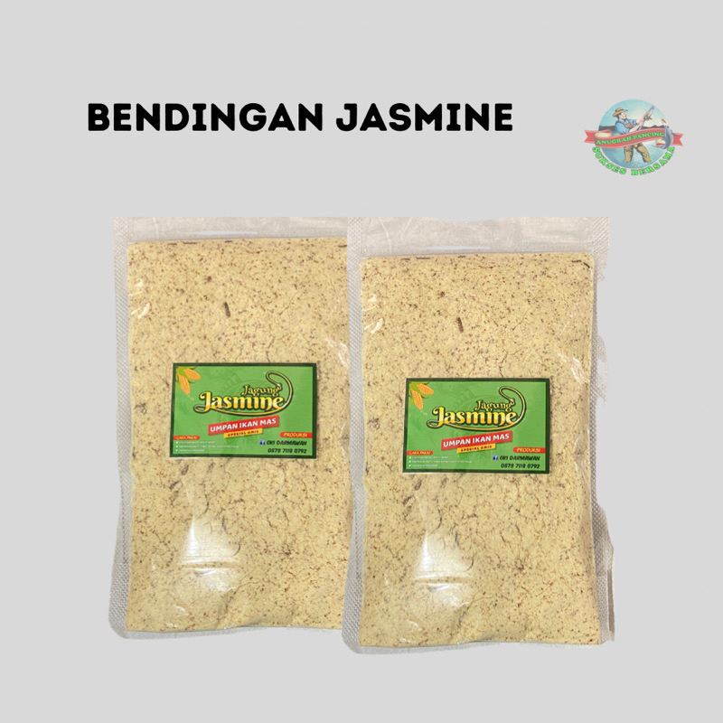 Umpan Bendingan Jasmine Pengumpul Ikan mas