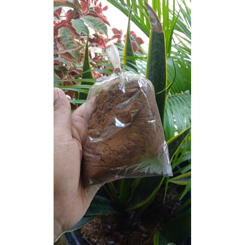 

BUBUK JAHE KOPI KHAS TUBAN