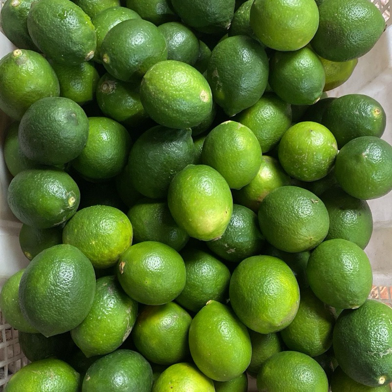 

Lemon Hijau 1KG/1000Gr (ISI 6-9 BUAH)