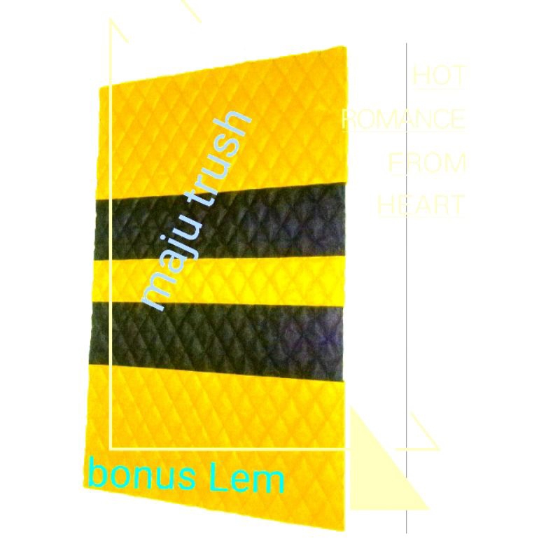 cover pelapis flapon hiline pick up