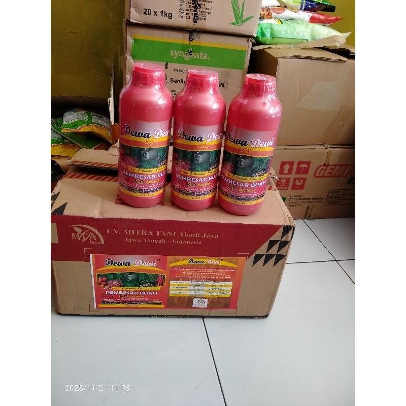 Pupuk KCL Cair Pembesar buah