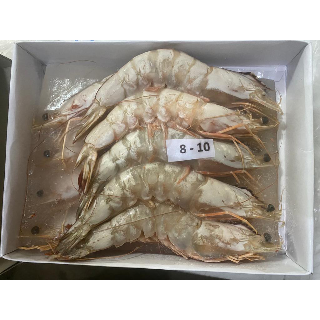 

RB Udang jerbung / udang laut segar beku kualitas export kemasan 1kg