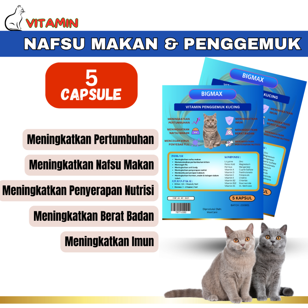 (RESELLER) VITAMIN KUCING GEMUK NAFSU MAKAN BIGMAX 5 KAPSUL