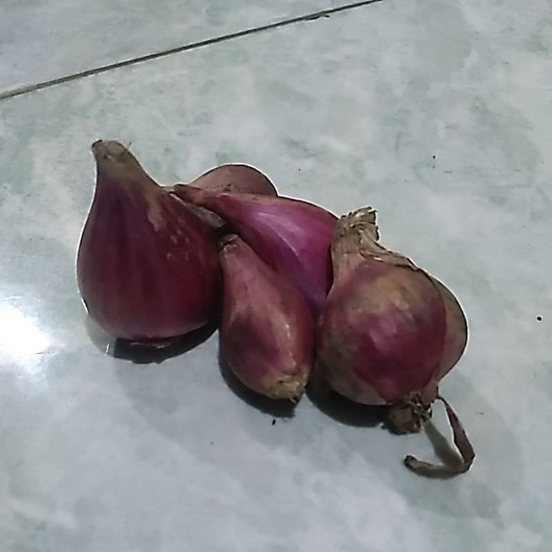 

Bawang Merah