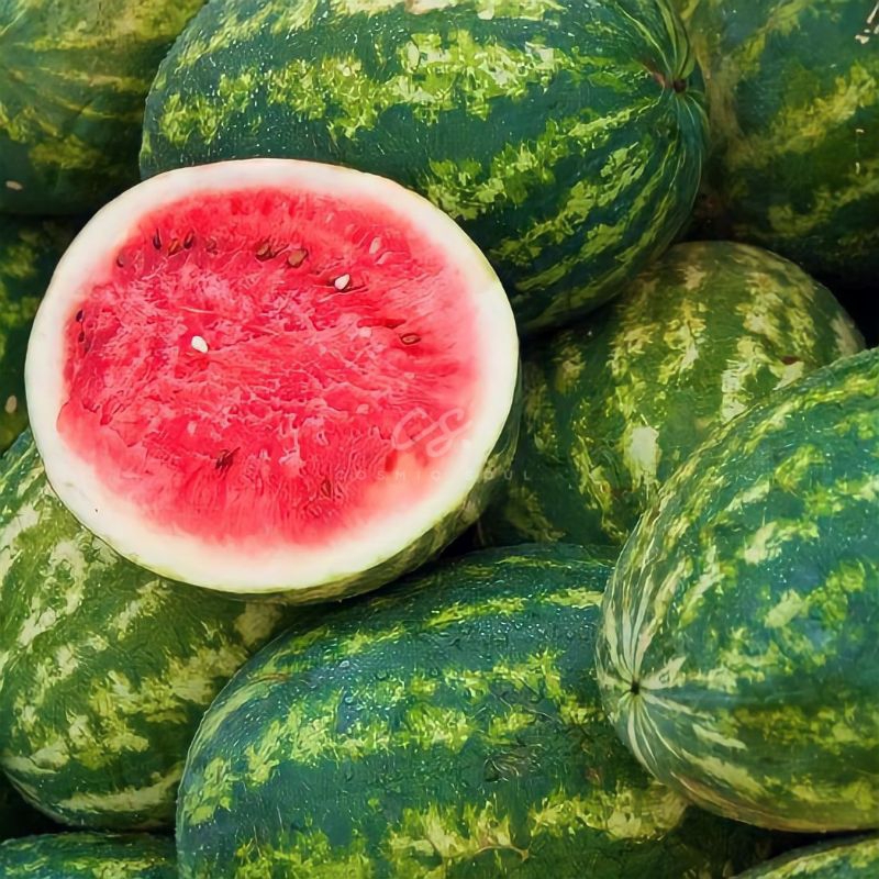 

[CosmicSoul] BUAH SEMANGKA MERAH