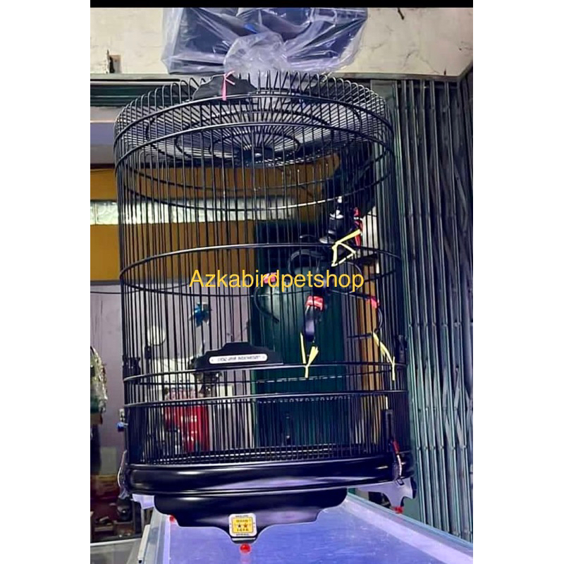 sangkar burung murai oriq jaya pvc