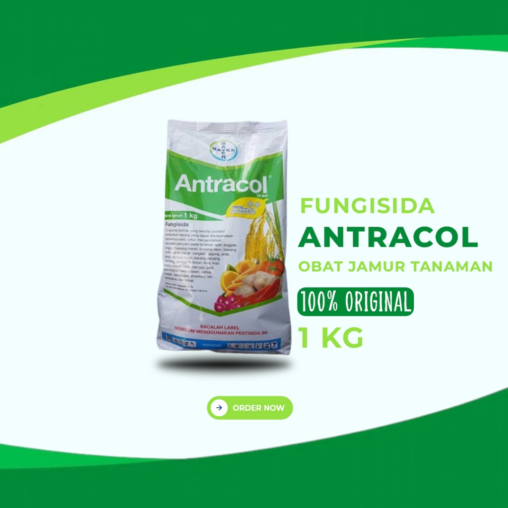 Antracol Fungisida Obat Jamur Tanaman