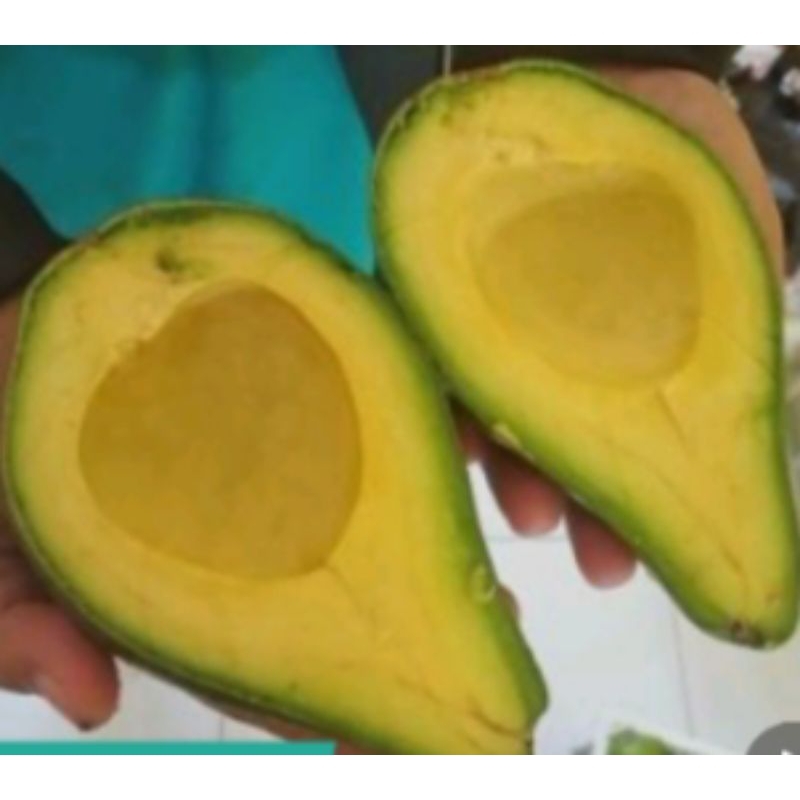 

alpukat mentega 1 kg