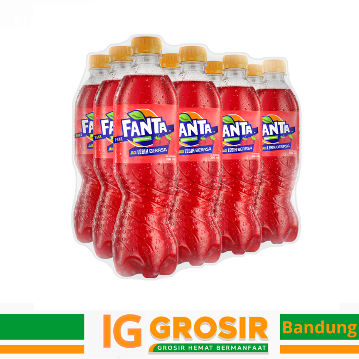 

Fanta 390ml (1 Lusin)