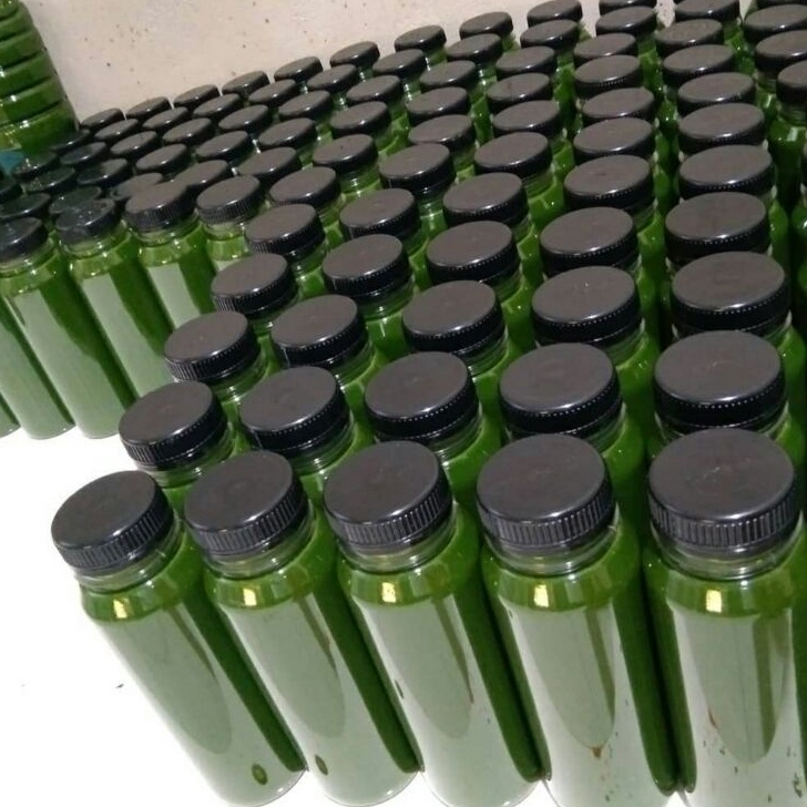 

Best Produk Endapan Sari Pandan Original Bangka 100% Stock Banyak