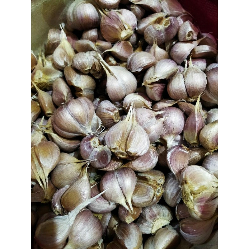 

Bawang Putih Kating Bersih 1Kg