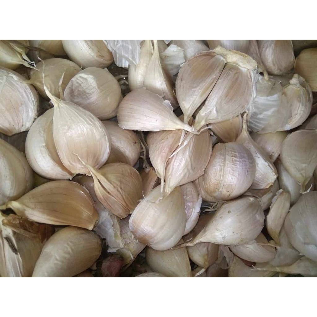 

Bawang Putih 250 gram