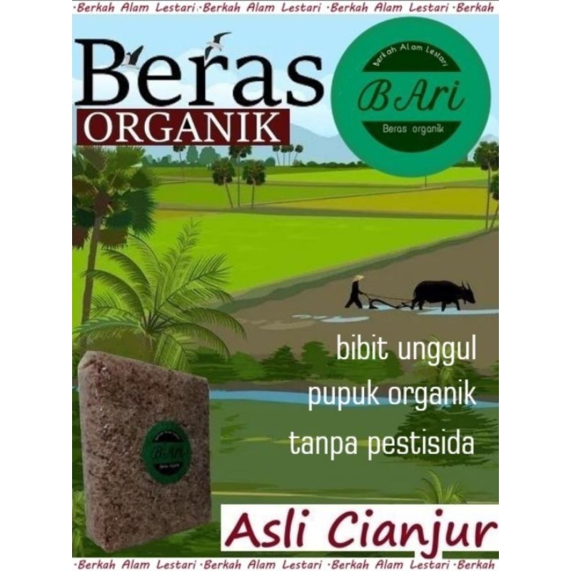 

Beras merah (pulen) organik 1kg
