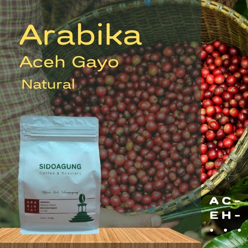 

Arabika Aceh Gayo