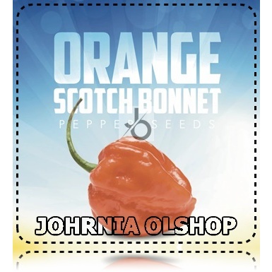 Johrnia 5 Benih Biji PEPPER Orange Scotch Bonnet