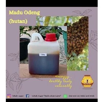 

Madu Odeng Asli Garut Kemasan 1 kg dan 500 gr