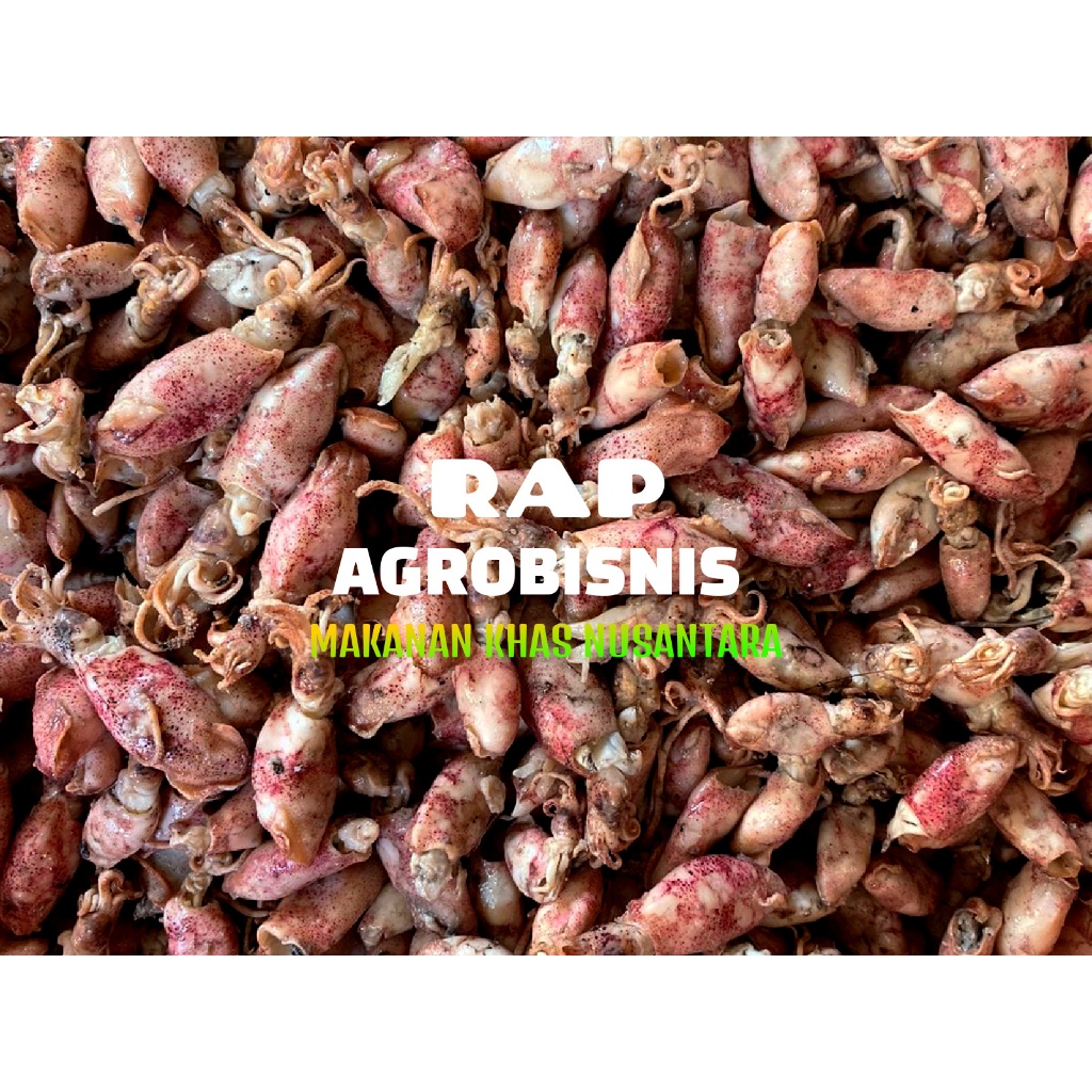 

ikan asin baby cumi / cumi asin / cumi rebus 78 berat 1kg