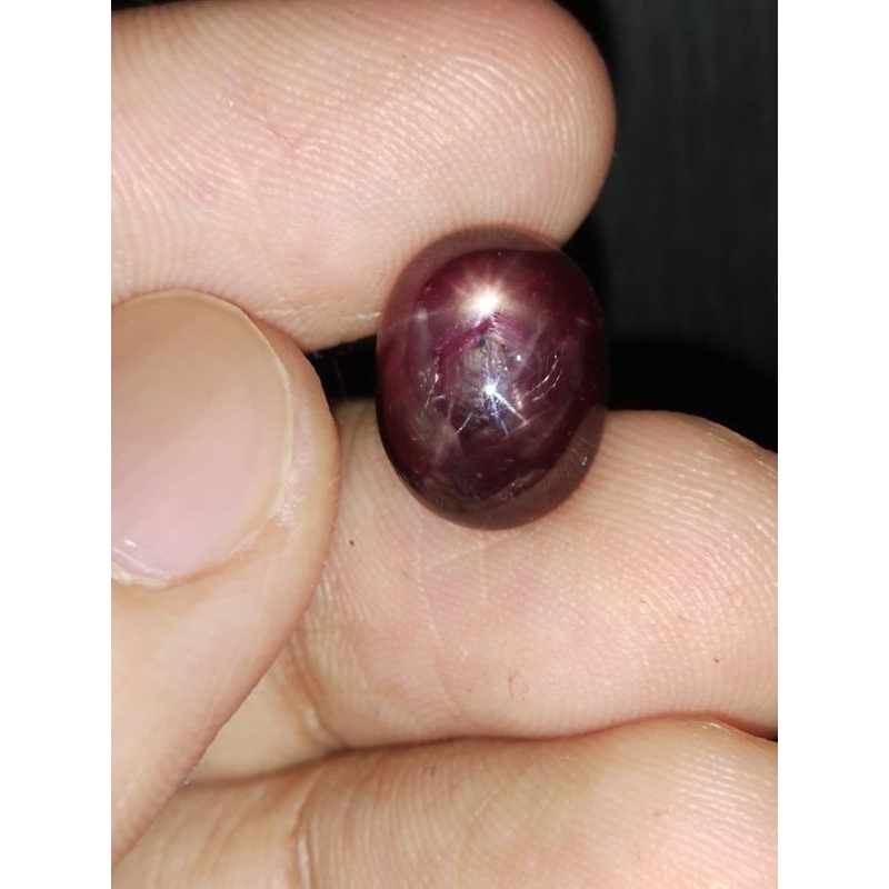 Natural Ruby Star 12.5x9.5x6 mm 9.25 Ct Multi Rays Bintang Merah Delima Oval Cabochon Code 526