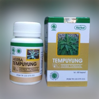 

HIU | Herbal TEMPUYUNG Kapsul Original | Membantu Meluruhkan Batu Urin di Ginjal