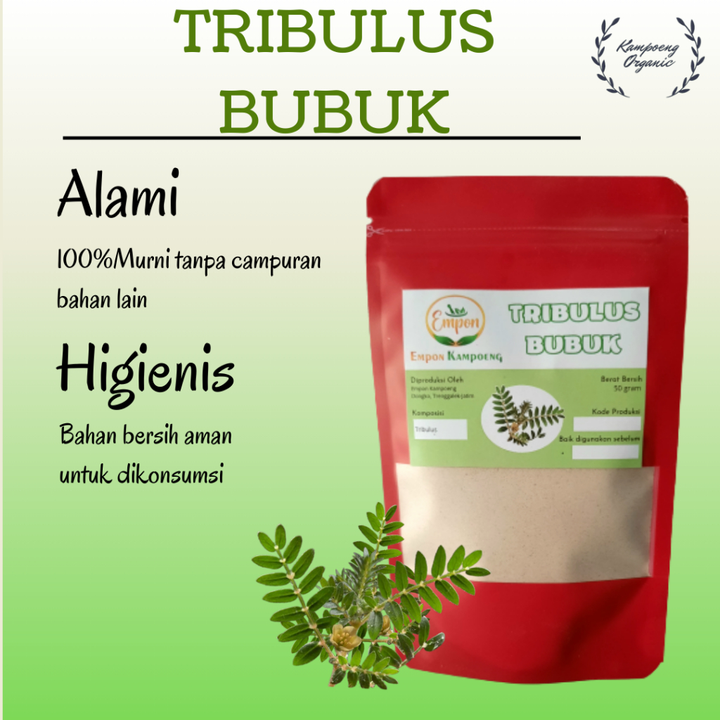 

Tribulus Bubuk Minuman Jamu Herbal Serbuk Tradisional Asli Murni Alami