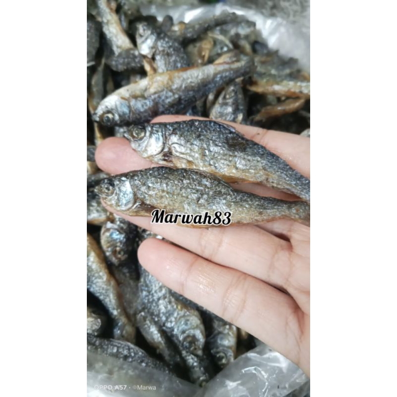 

ikan bilih padang, ikan bilih padang, super fres uk rendem kualitas terjamin
