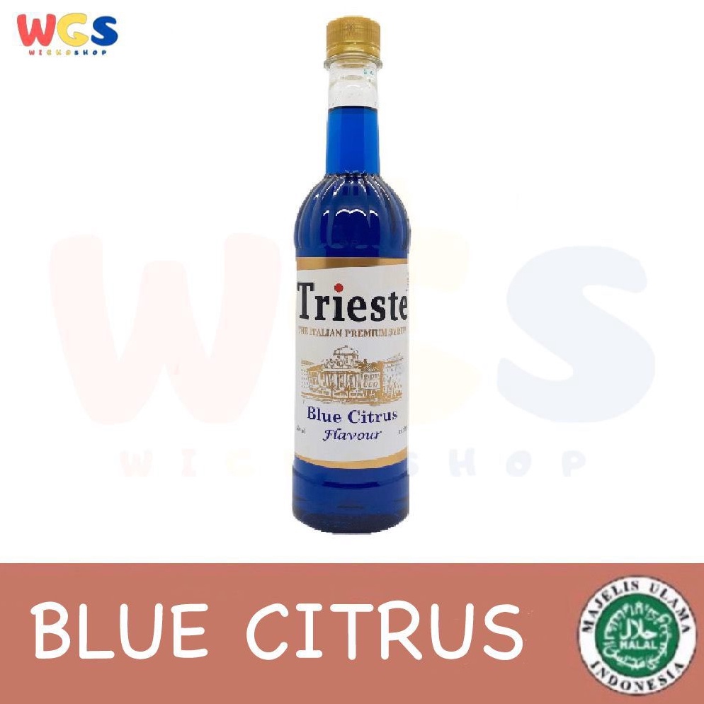 

[♥X90➢] Trieste Syrup Premium Blue Citrus / Blue Lagoon / Blue Curacao Flavored Syrup 650ml Out of Trend