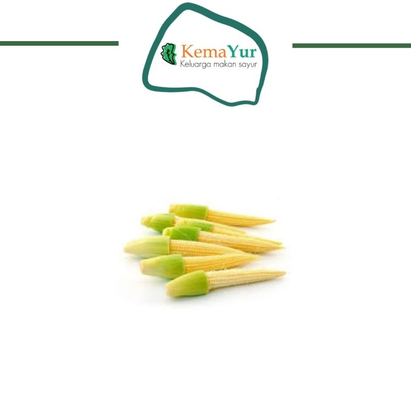 

BABY CORN MURAH 500 GR JANTEN