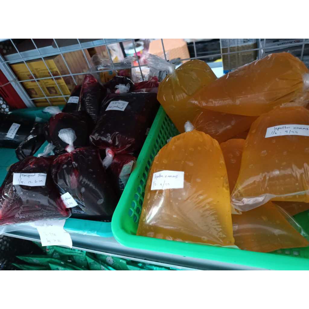 

LEPATTA Selai buah Jelly (1kg)