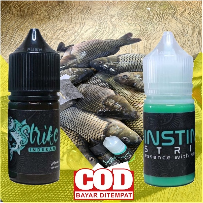 Instinct Strike - Essen Ikan Mas Paling Bagus - Esen Mas Galatama - Essen Mas Harian Kilo Gebrus COD