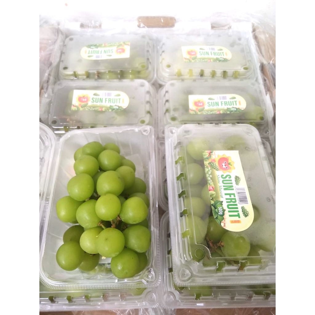 

ANGGUR SHINE MUSCAT GRAPES FRESH IMPORT PER DUS