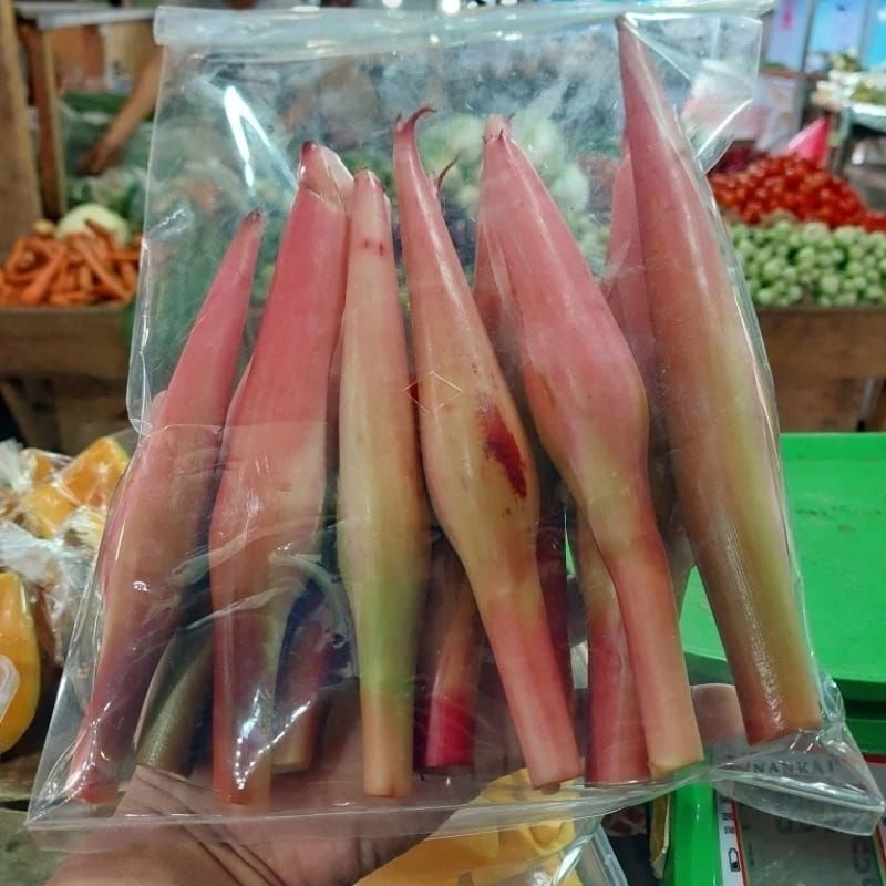 

bunga kecombrang segar