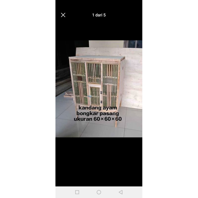 termurah kandang ayam hias minimalis kandang box jago