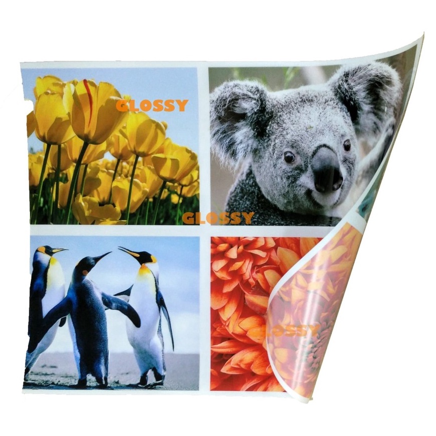 

Siap Kirim.. BACKLIT FILM 150 gsm - REVERSE PRINT Q6G