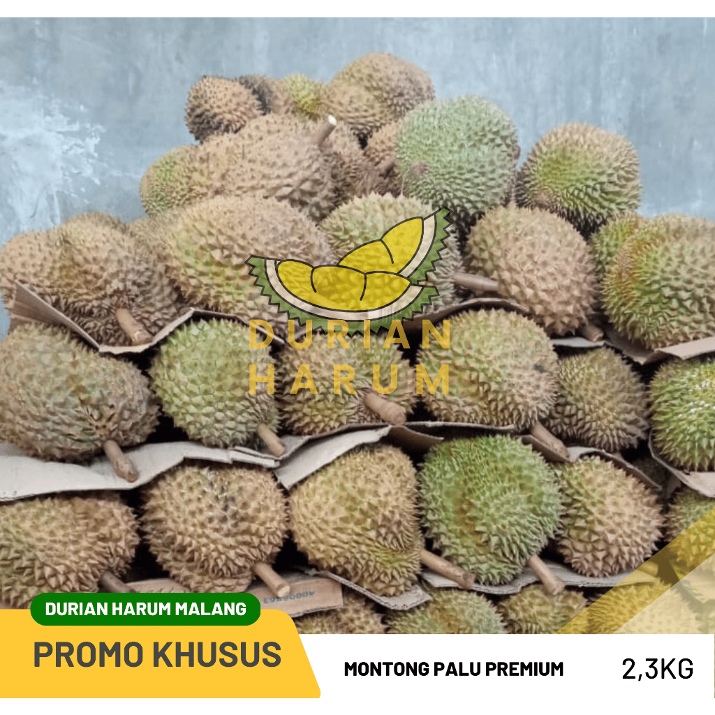 

Montong Bali Singaraja 2,3kg Fresh Manis Legit