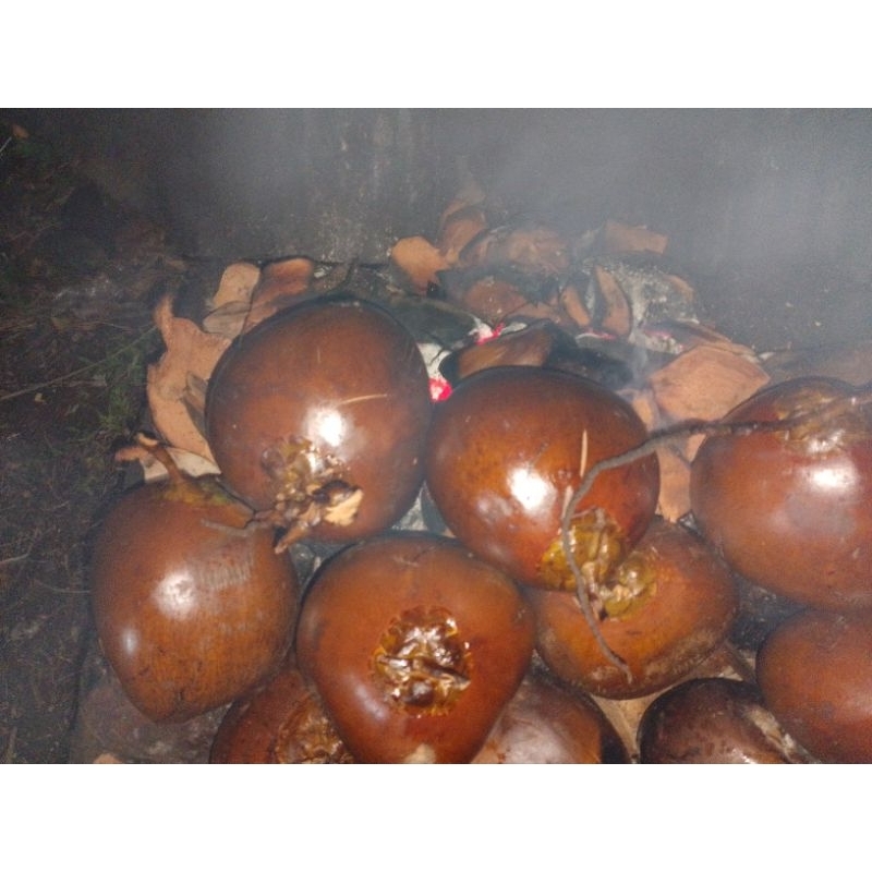 

kelapa bakar herbal