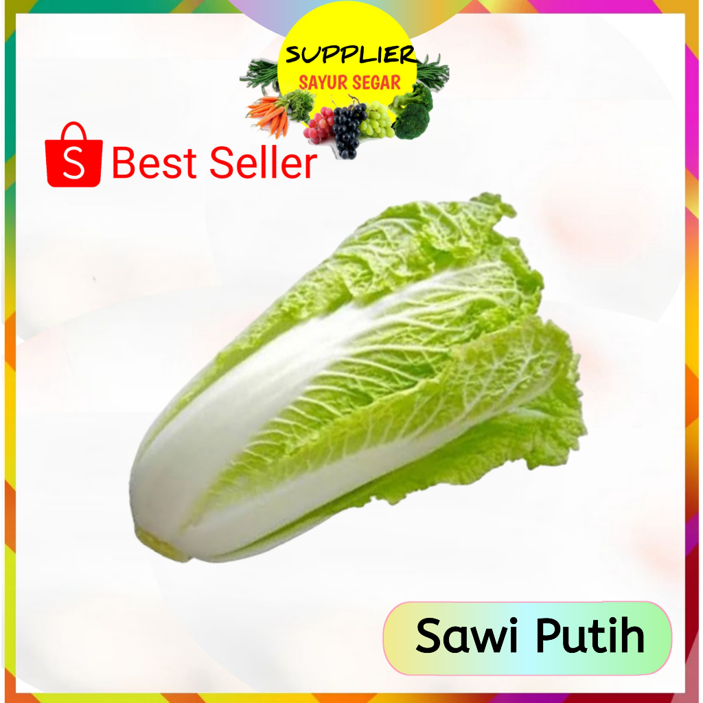 

Sawi Putih - Supplier Sayur Sayuran Mayur Segar Online Palembang