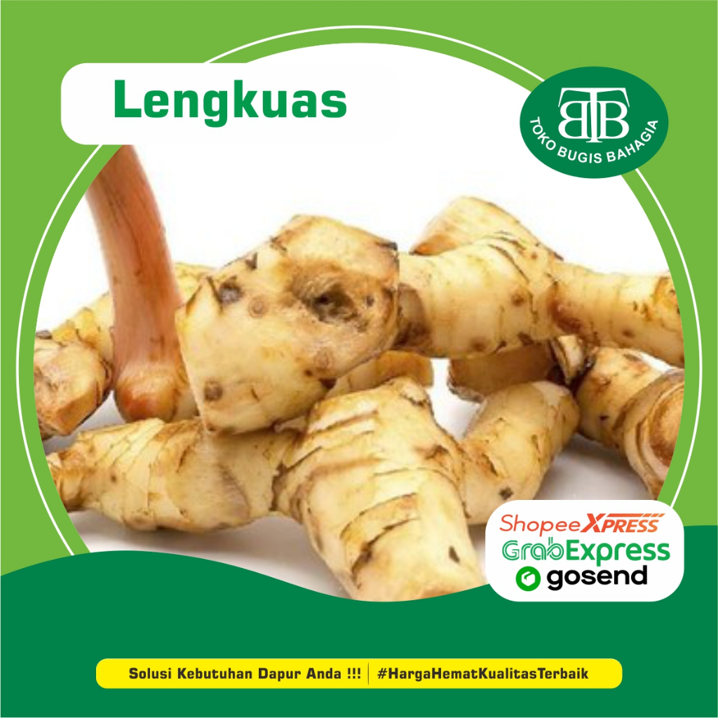 

Lengkuas Murah Makassar