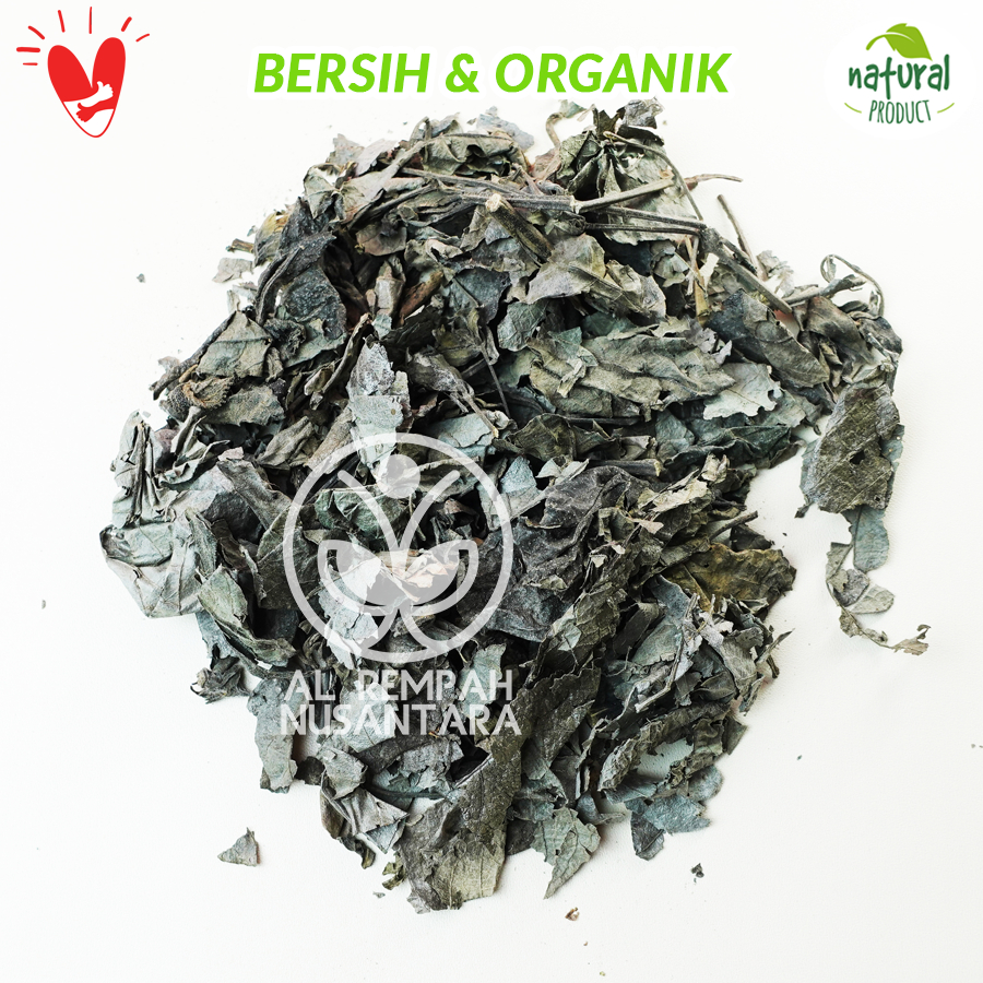 

Daun Kejibeling Kering 500gr / Pecah Beling Asli Hutan