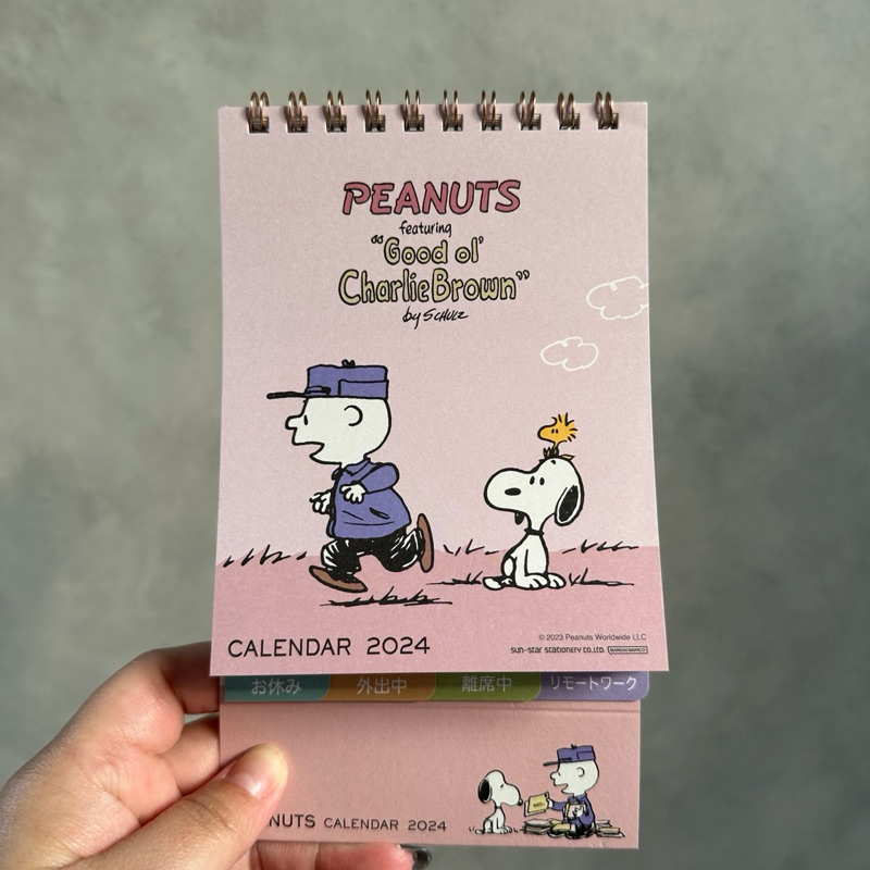 

PEANUTS CHARLIE BROWN - CALENDAR 2024