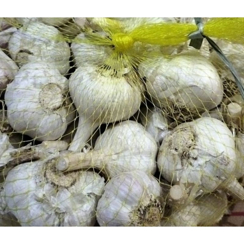 

bawang putih kating 500gr