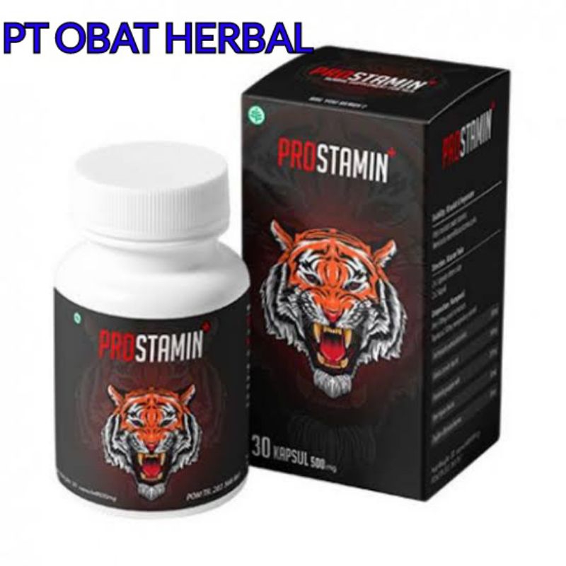 Prostamin Asli Original Obat Herbal Pria Prostamin Original